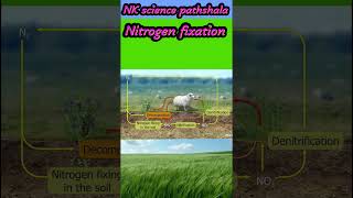 Nitrogen fixation trendingshort viralshots song music [upl. by Yllier]