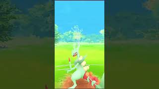 Mega Venusaur VS Mega Sceptile PVP Grass Battle in pokemongo [upl. by Ahsii355]