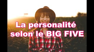 Types de personnalités le Big Five  une introduction [upl. by Joslyn643]