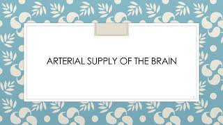 Arterial Supply of Brain PPT Slide Presentation [upl. by Morena]