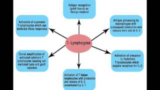 DermTalks Cyclosporine Review Dr Ricotti Larkin Community Hospital Dermatology Dept [upl. by Aropizt679]