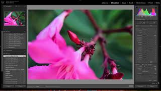 Adobe Photoshop MAC OS Cursor flickering [upl. by Assyle]