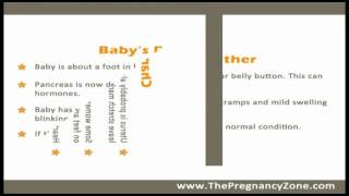 6 Months Pregnant  Week by Week Pregnancy [upl. by Lodnar]