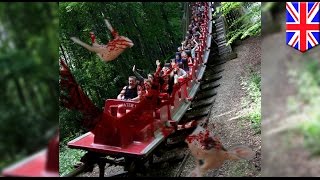 Rollercoaster odcina głowę jelenia i funduje pasażerom prysznic z krwi [upl. by Wilkinson]