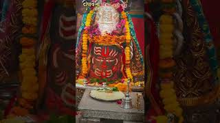 Daily darshan ujjain mahakaleshwar jyotirling❤️ trendingshortshindupilgrimage hindupilgrimage [upl. by Adnohrahs]