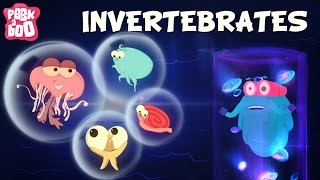 Invertebrates  The Dr Binocs Show  Learn Videos For Kids [upl. by Ahsinauj]