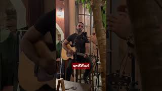 පොඩ්ඩියෙ poddiye cover laluna colombo live music performance rock trending viral pizza [upl. by Ley]