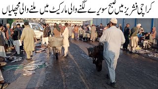 Wholesale Fish Market Karachi Fisheries Biggest Fish Market  Current Fish Price  Seafood King FIsh [upl. by Imray]