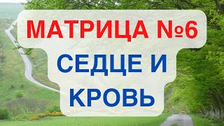 Исцеление Сердца и Всей Кровеносной СистемыМатрица №6 [upl. by Yrian]