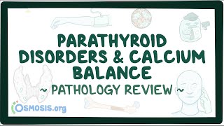 Parathyroid disorders and calcium balance Pathology Review [upl. by Reine502]