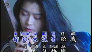 谁来爱我 Shui Lai Ai Wo 宝丽金 PolyGram Production  DVD版 [upl. by Schulze]