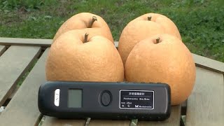 Innovative Device that Can Measure the Sweetness of Fruits [upl. by Cirdek]