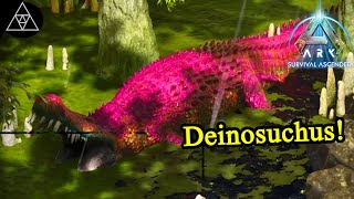 Der neue König der Sümpfe Deinosuchus gesichtet ► ASA E35  ARK Survival Ascended [upl. by Asta]