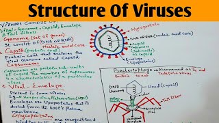 Structure Of Viruses  Bacteriophage Virus and Enveloped Virus  Jiyas Biology Tutorials [upl. by Adnahsed]