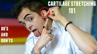 Cartilage Stretching 101 [upl. by Irotal507]