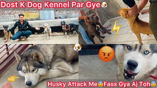 Dost K Dog Kennel Par Gye🐶Jata He Husky Dog N Attack Kar Diya😰Jaan Bachai😨Aggressive Husky Dog😡 [upl. by Muiram703]