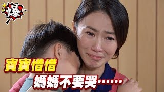 《多情大爆爆》多情城市 EP19 寶寶惜惜 媽媽不要哭…… [upl. by Aroved]