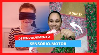 DESENVOLVIMENTO SENSÓRIO  MOTOR Como Estimular [upl. by Jeni]