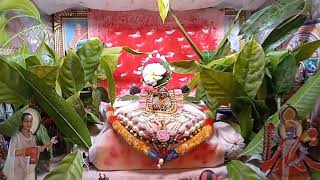 Kunj Ekadashi 24  Shringar Aur Rajbhog Darshan  Pushtimargiya Rit  shreenandgopaldarshan [upl. by Aytnahs]