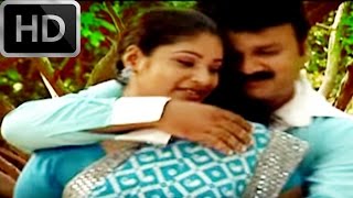 Pacha Panam Kiliye  Malayalam Mappila Album  Pachapanamkili  Ansil [upl. by Callas746]