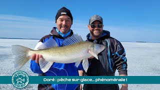 Doré  pêche sur glace… phénoménale [upl. by Maer]