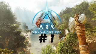 ON FAIT UN NOUVEAUX DEPART  ARK ASCENDED  EP 1 [upl. by Euk328]