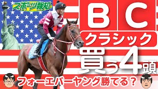 【ブリーダーズカップクラシック2024】世界の競馬の頂点へ！フォーエバーヤング、ウシュバテソーロ、デルマソトガケの勝つ可能性は？ [upl. by Lower]