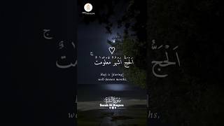 Surah Al Baqarah verse197 most beautiful Quran recitation duet quran shortsytshorts emotional [upl. by Montagna]