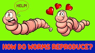 The ULTIMATE GUIDE to WORM REPRODUCTION [upl. by Eetnuahs423]