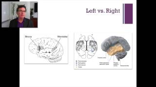 Lecture 5 The Temporal Lobe [upl. by Jolanta799]