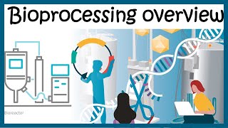 Bioprocessing overview Upstream and downstream process [upl. by Yerffoj]