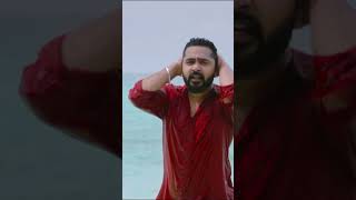 Avalum Naanum  Achcham Yenbadhu Madamaiyada  STR  A R Rahman  Gautham Vasudev Menon  shorts [upl. by Nahshun]