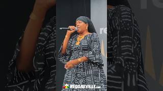 Dezarie  Reggae Geel 2024 [upl. by Lulu]