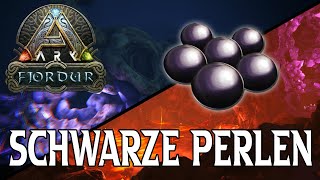 Fjordur  Die 2 Besten Schwarze Perlen Spots  Tipps um besser ungestört zu farmen [upl. by Nnayrrehs]