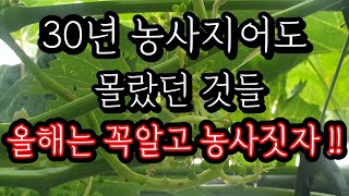 30년 농사지어도 몰랐던 양분의 이동성과 특성 질소 칼슘 [upl. by Bastien551]