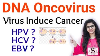 DNA Oncoviruses  Virus Induce Cancer  Oncogenic viruses [upl. by Wandis]