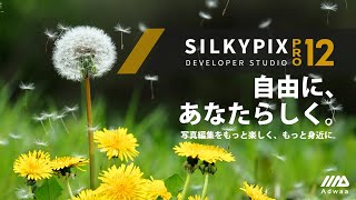 SILKYPIX Developer Studio Pro12 [upl. by Ellenig]