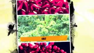 Recipes for Diabetics  Diabetic Diet Plan  Best  Gestational Diabetes Diet  Easy  Fast  Good [upl. by Ajoop]