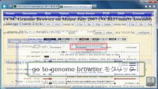 UCSC Genome Browserの使い方～wig形式のファイルをトラックとして追加する～ [upl. by Aisatna849]