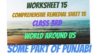 CEP Sheet 15Comprehensive Remedial Sheet15 World Around Us Punjabi Class 3rdShellysStudyRoom [upl. by Ulphia589]