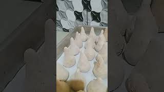 Vendendo minhas coxinhas [upl. by Regor130]