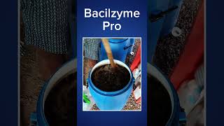 Method of Use for Bacilzyme Pro in shrimp farming shrimpfarming vannameishrimp aquaculture [upl. by Ludlow94]