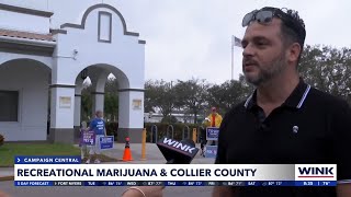 Floridians to vote on legalizing recreational marijuana [upl. by Munt261]