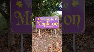 Mapleton The Blackall Range Sunshine Coast Hinterland Queensland Australia 🍁💜🇦🇺 [upl. by Farron]