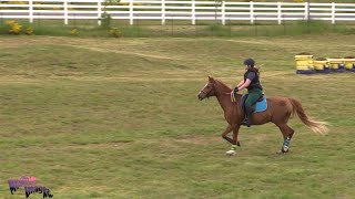 Kirsty Alexander Belmore Schooling Derby May 2021 [upl. by Dominique279]