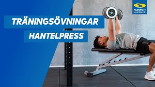 Hur gör man Hantelpress Dumbbell press [upl. by Boylston]