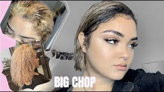 BIG CHOP why I did it  Trying Aphogee to restore my curls  Bleaching FAIL pt 2 [upl. by Uaeb284]