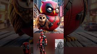 Superheroes but owls 🔥💥Marvel amp DCAll Characters avengers marvel spiderman shorts [upl. by Chouest369]