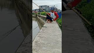 ikan patin di sini gak habis habis [upl. by Derraj]