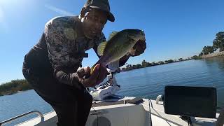 PandemicFishing Chasing Large Mouth Bass on the California Delta [upl. by Lazar906]